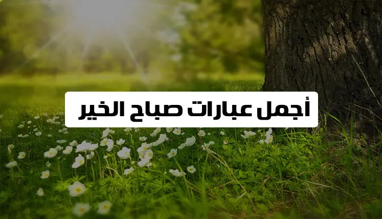 أجمل عبارات صباح الخير