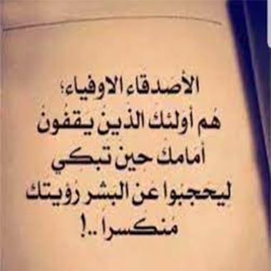 عبارات فخمة عن الصداقة