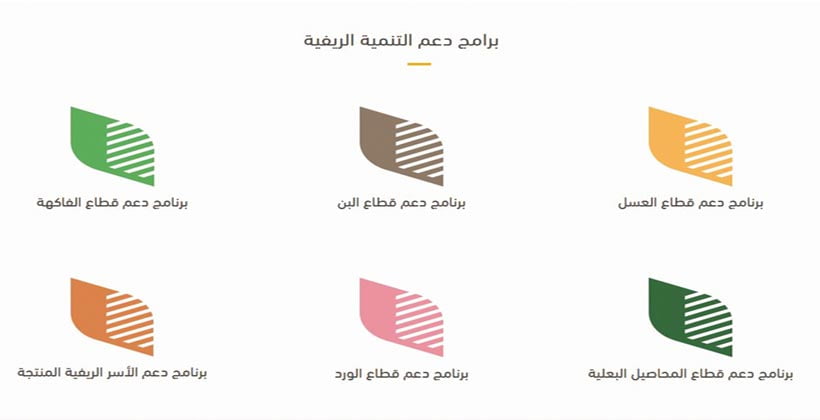 برامج التسجيل الجديد في دعم ريف