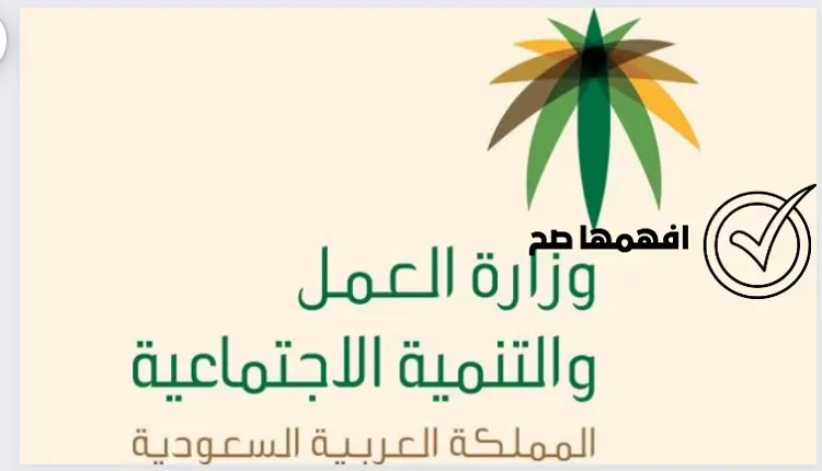 متى تودع المقطوعة